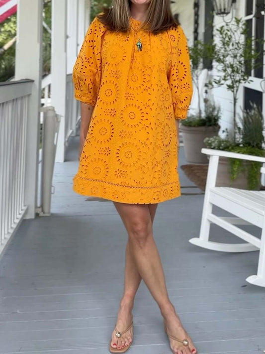 Lace Embroidered Mini Dress