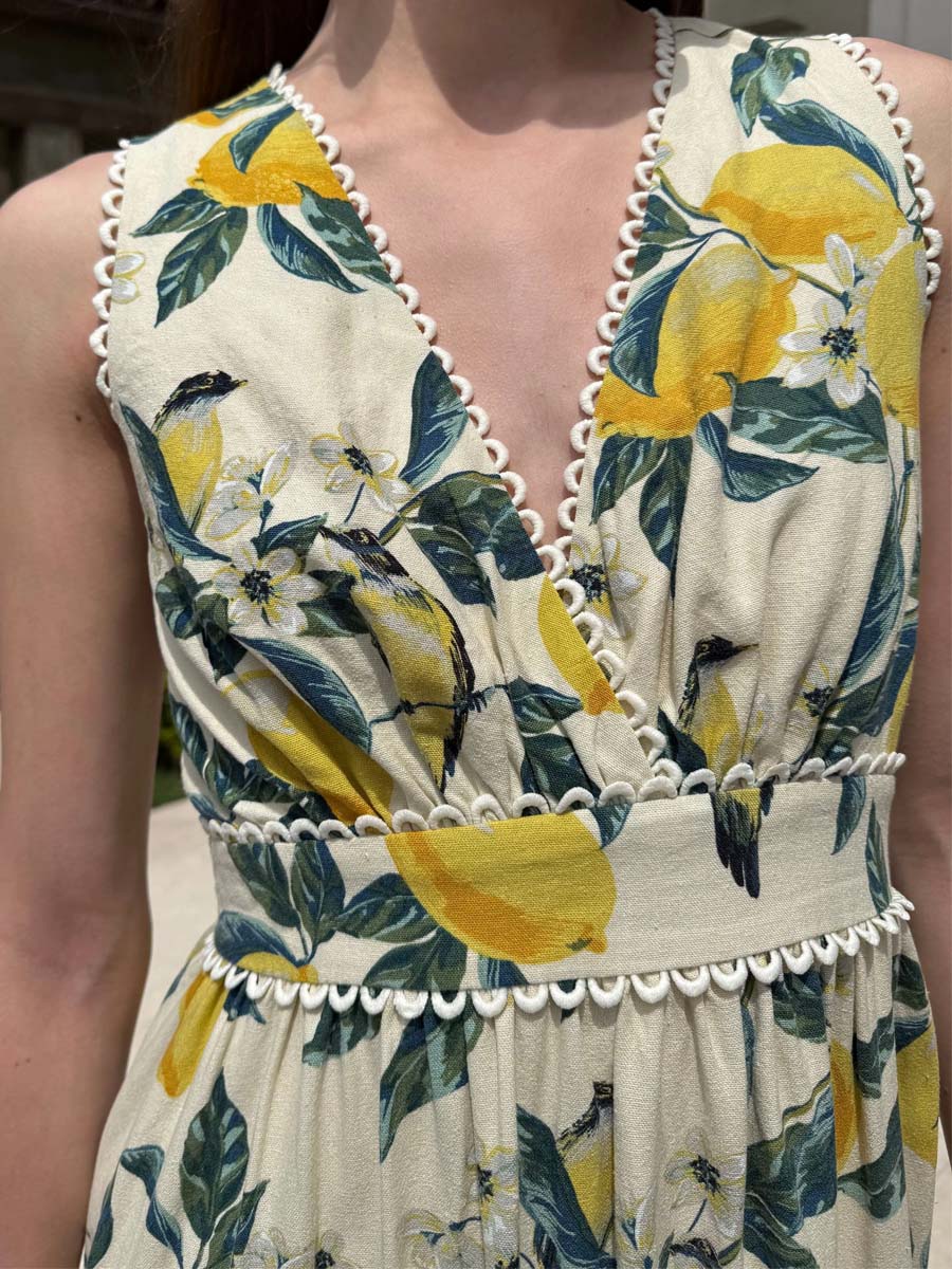 Printed V Neck Sleeveless Elastic Waist Dress