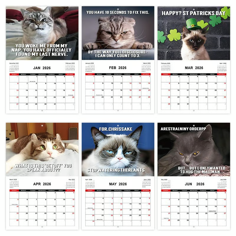 2026 Pissed-Off Cats Calendar
