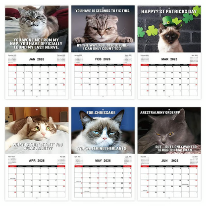 2026 Pissed-Off Cats Calendar