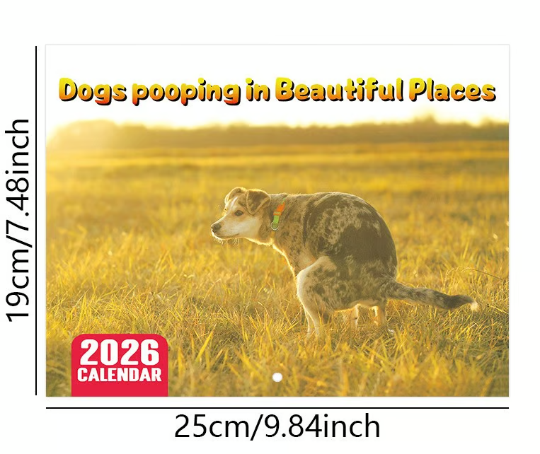 2026 Pissed-Off Cats Calendar
