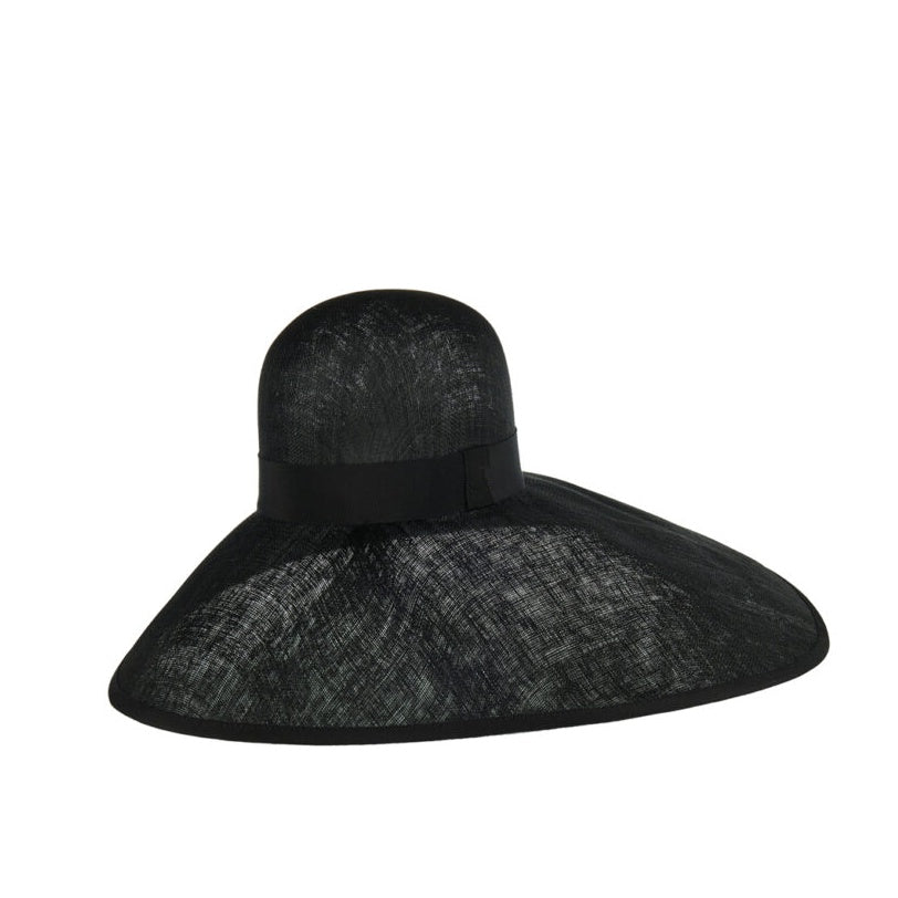 Large Brim Hat