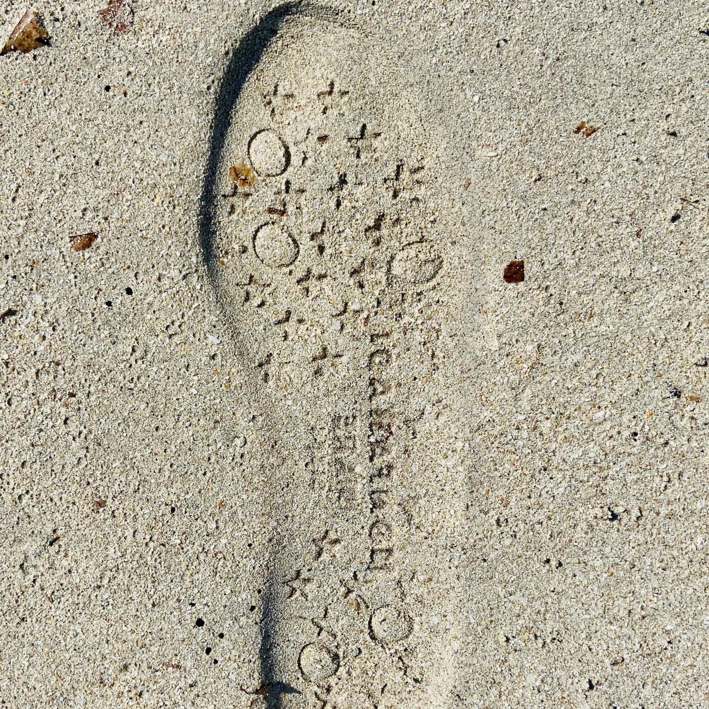 Silver Stars Transparent Shoes