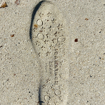 Silver Stars Transparent Shoes